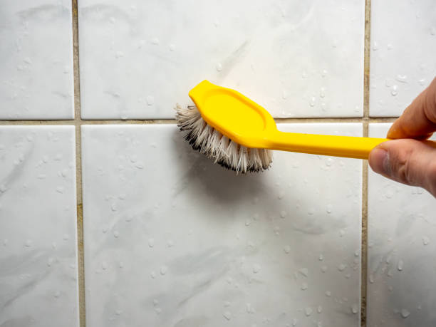 Best Black Mold Removal  in Honey Grove, TX