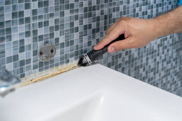Home Mold Removal in Honey Grove, TX