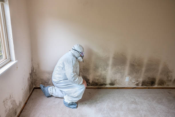 Best Water Damage Restoration  in Honey Grove, TX